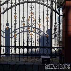 31c3a1a8cb070bdd1d27dd3de1073259 500