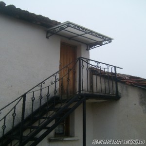 398adacc5d2fb2d4244371f622a87820 500