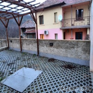 826bc77181b98593644d3e26dad36f04 500