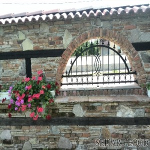 cf901dd978524cd0d19402b69b4a3418 500