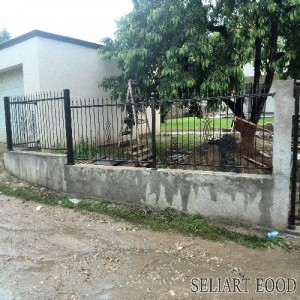 df1e1af68debfaea0d9d421829e9c734 500